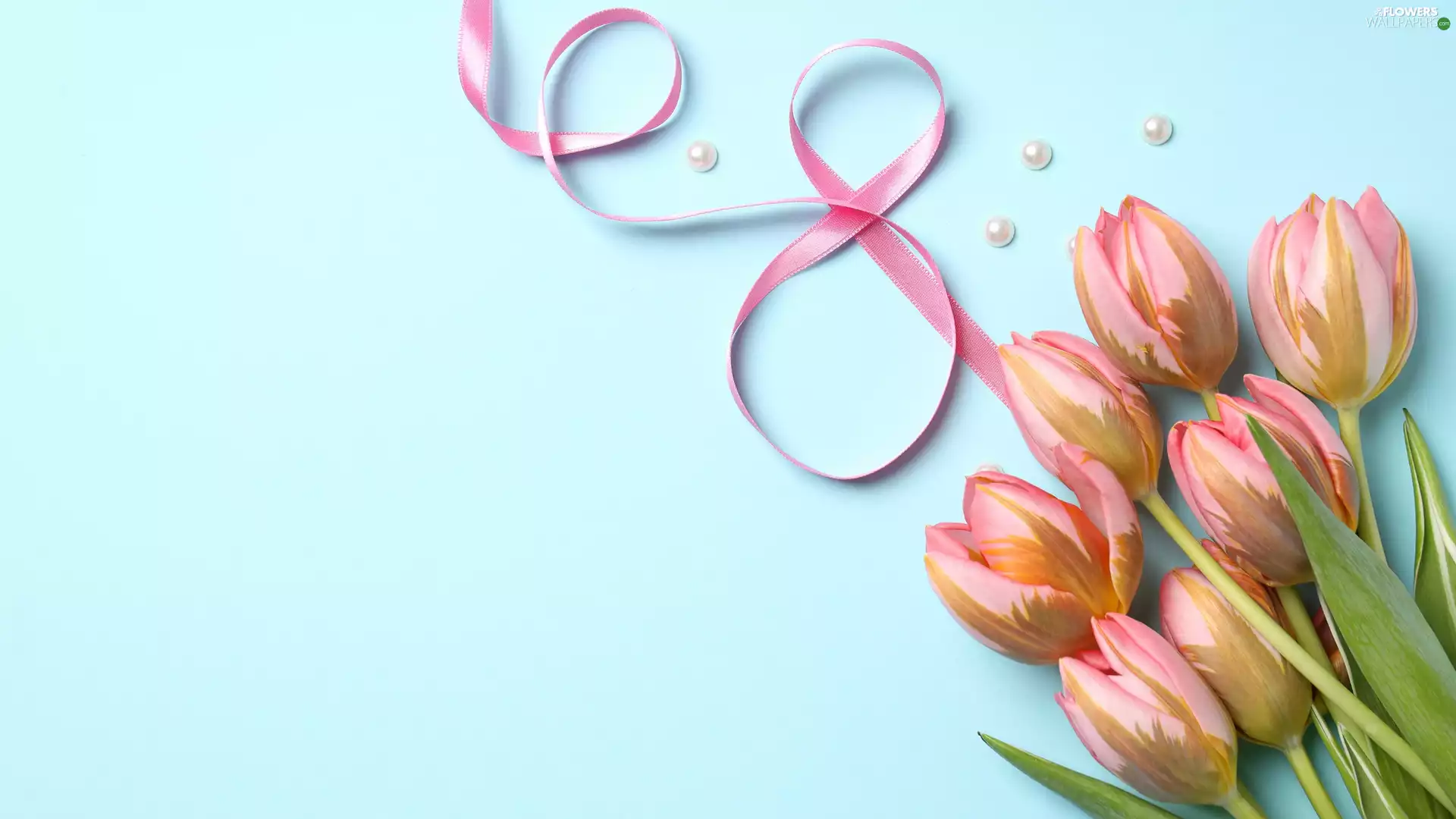 Tulips, Blue, background, ribbon