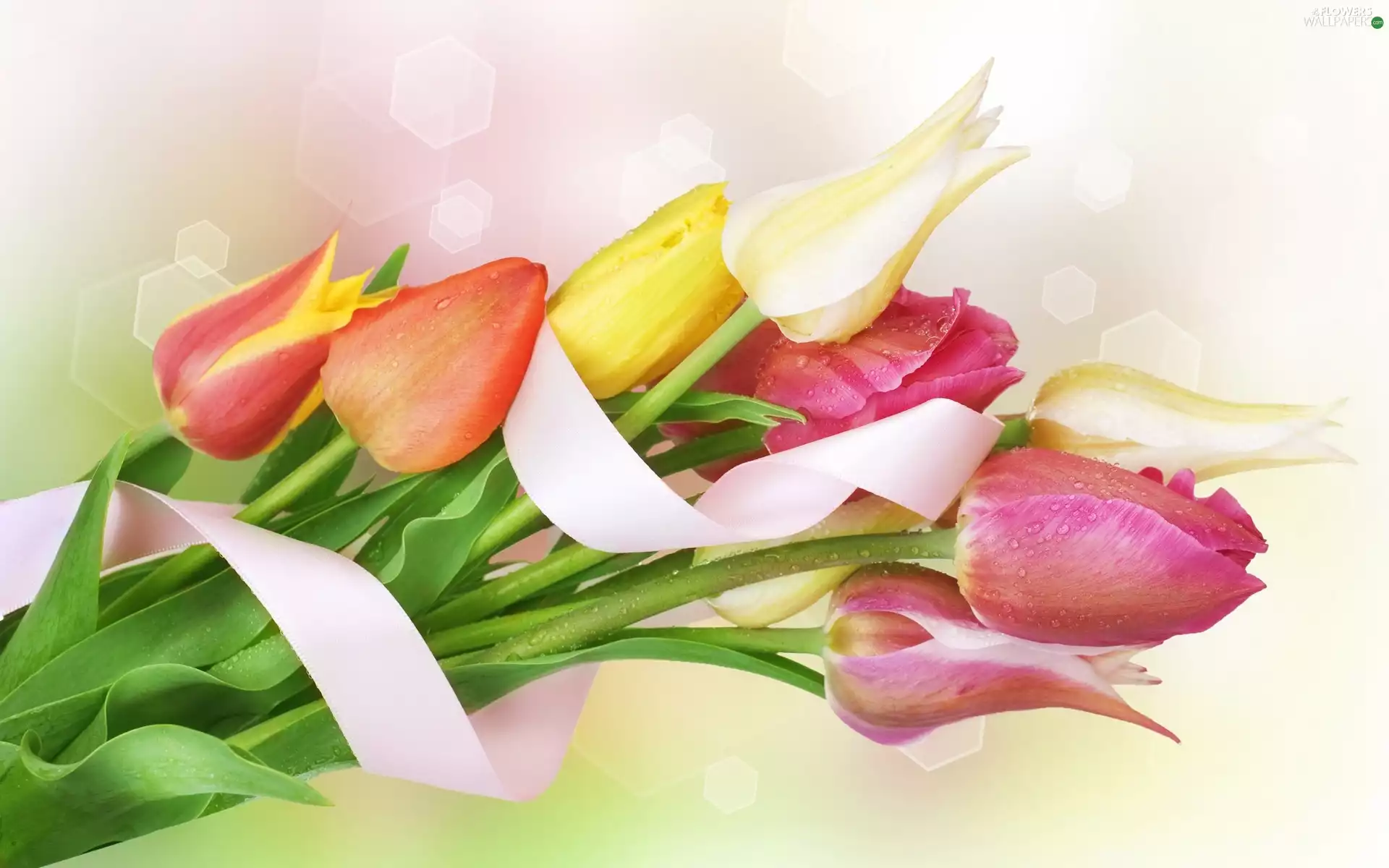 ribbon, bouquet, tulips