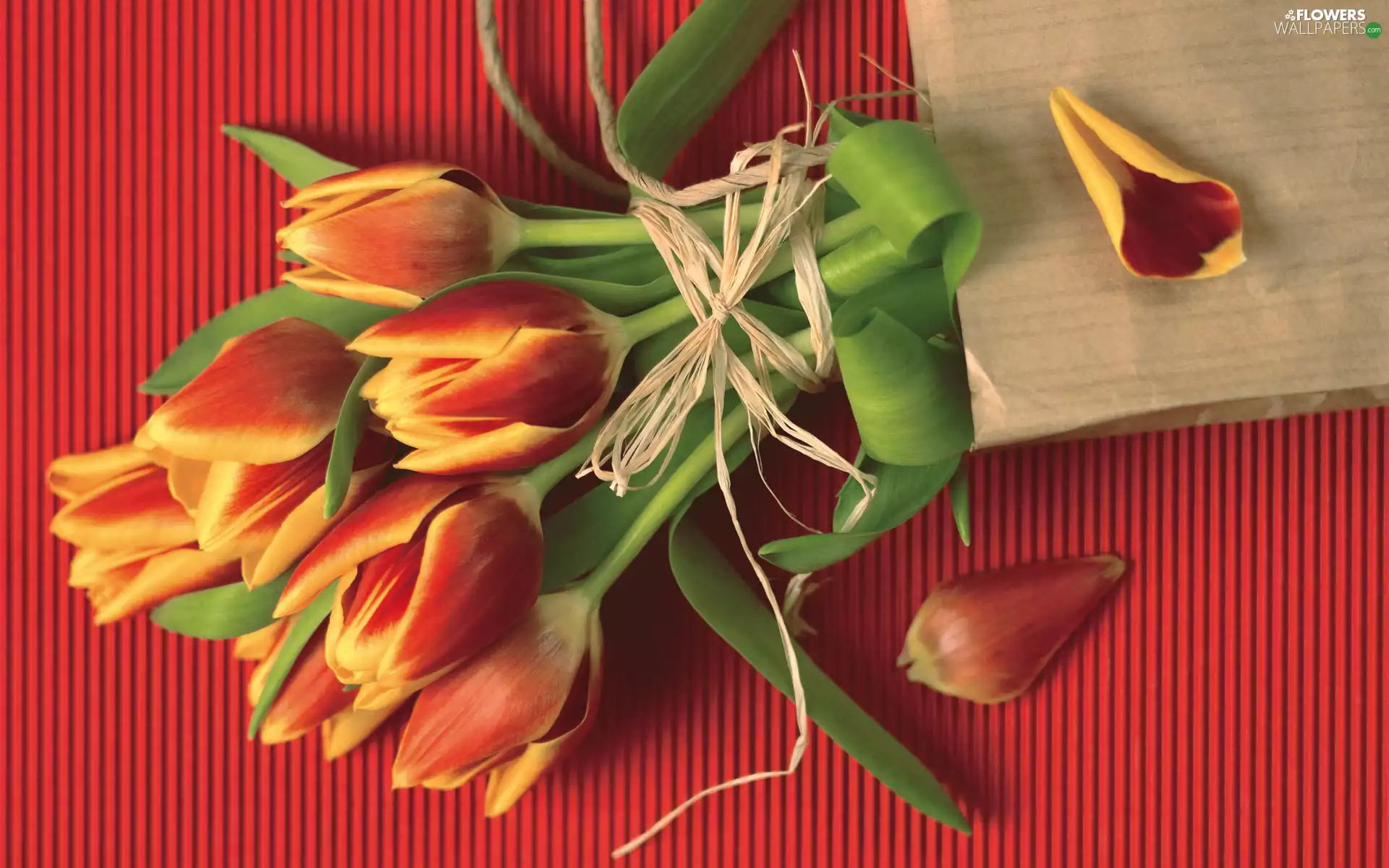 Tulips, paper, Purse, ribbon