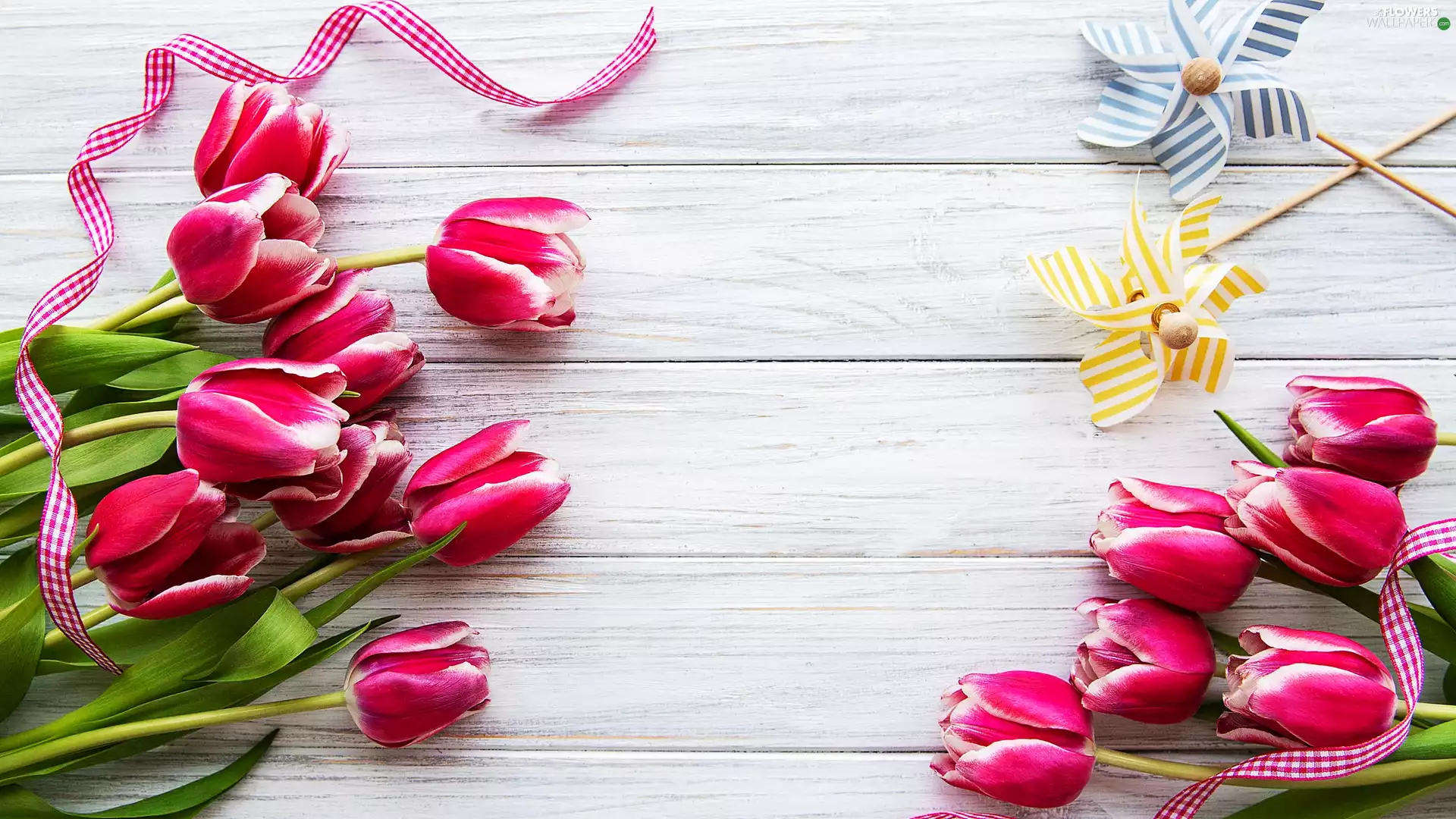 ribbon, white and pink, Windmills, boarding, Two cars, Tulips