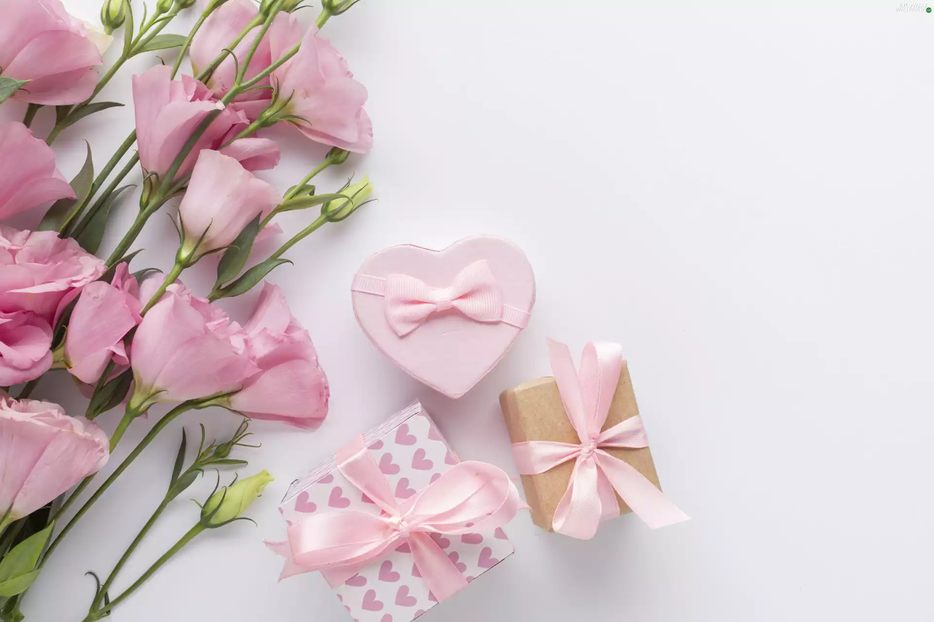 gifts, Ribbons, Eustoma, Heart, Flowers