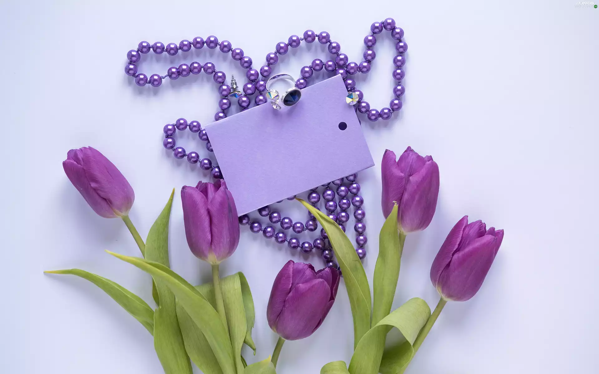 jewellery, chaplet, composition, Pearl, scribble, Tulips, Flowers, Ring