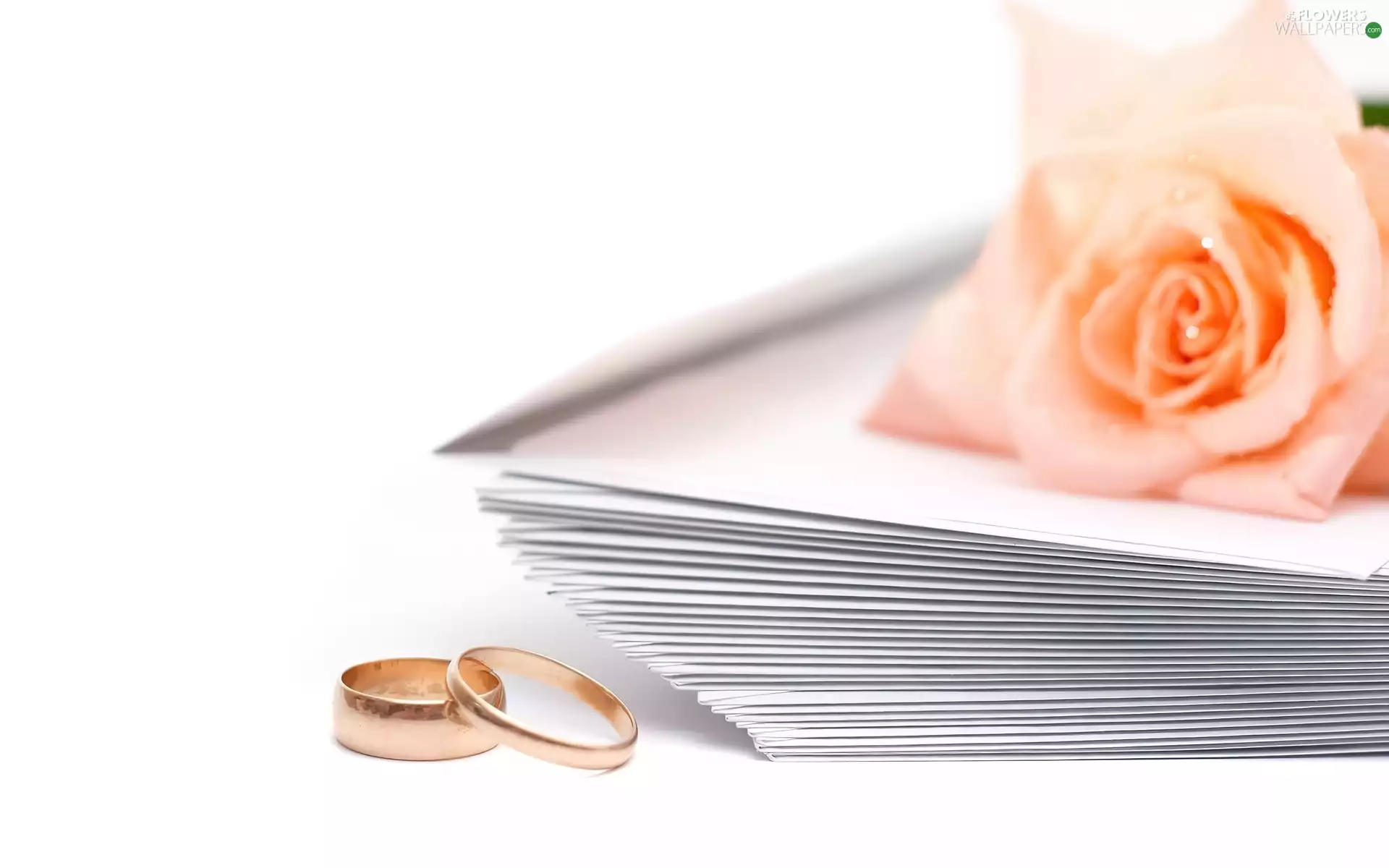 rings, rose, Envelopes