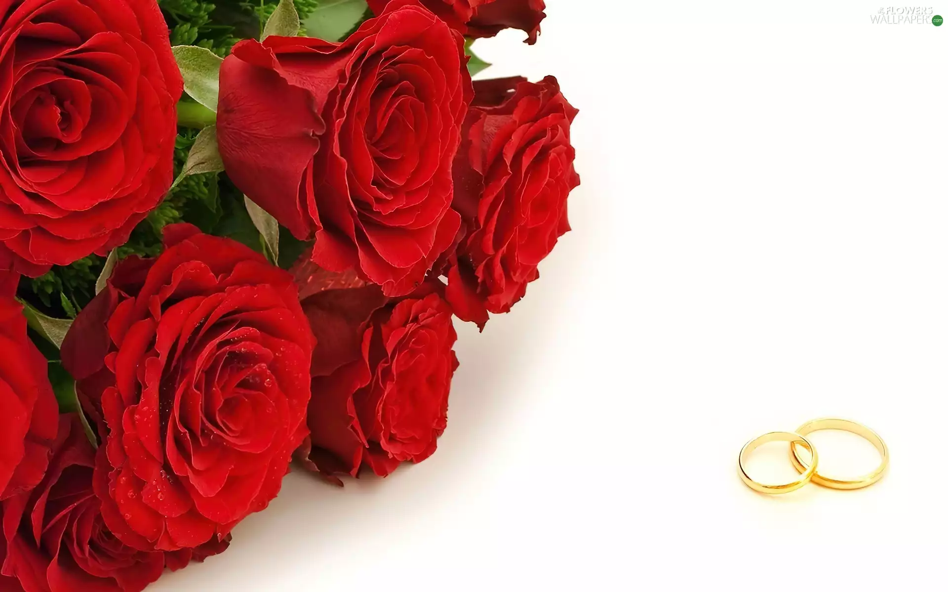 rings, Red, roses