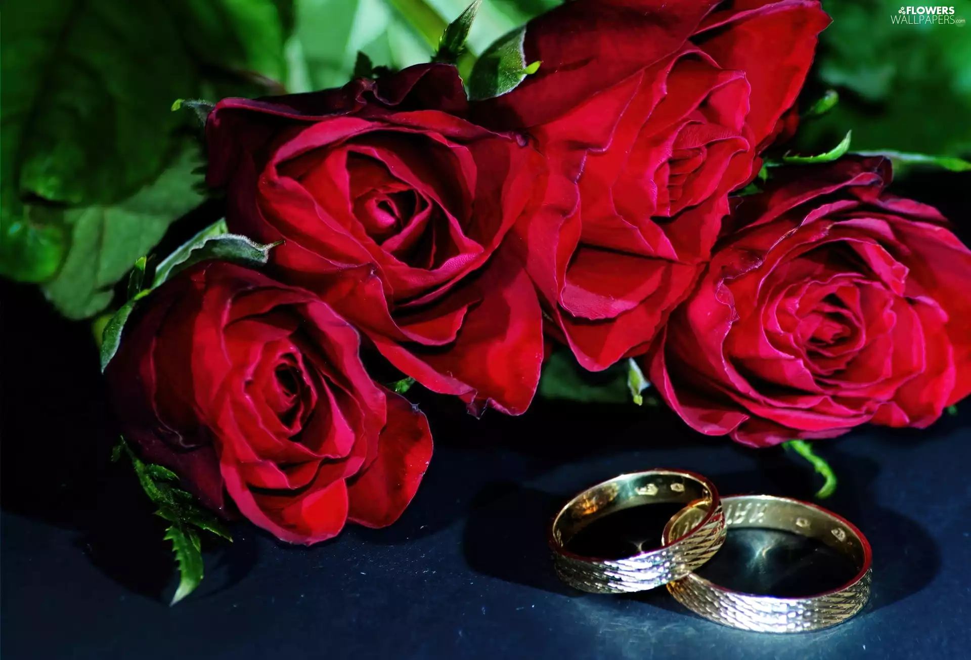 rings, Red, roses