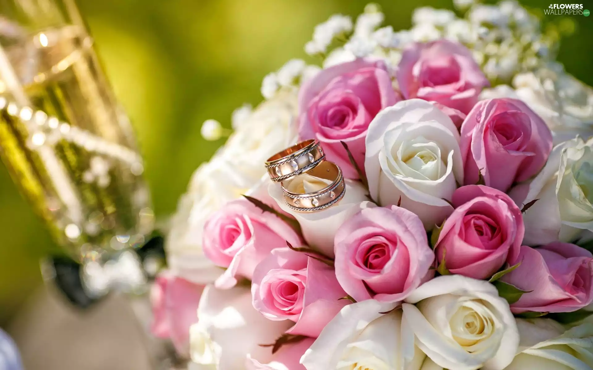 bouquet, rings, White, roses, Pink
