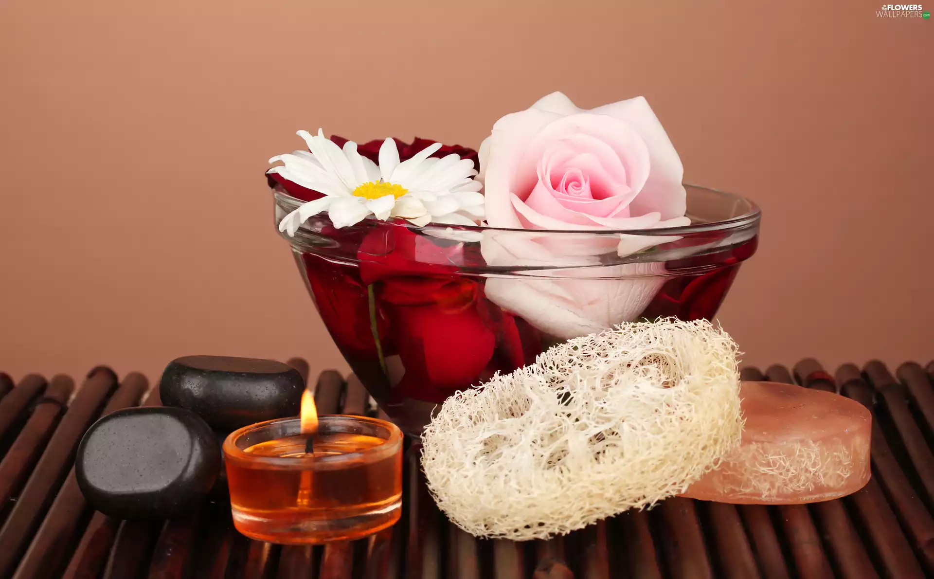 bowl, rose, candle, Stones, Spa