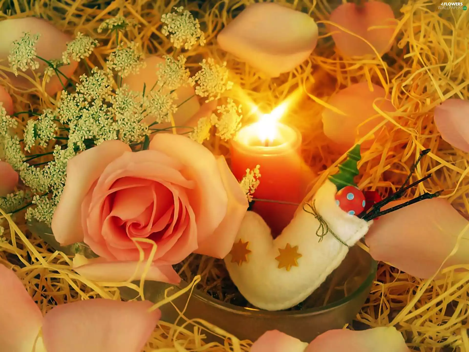 rose, Candle