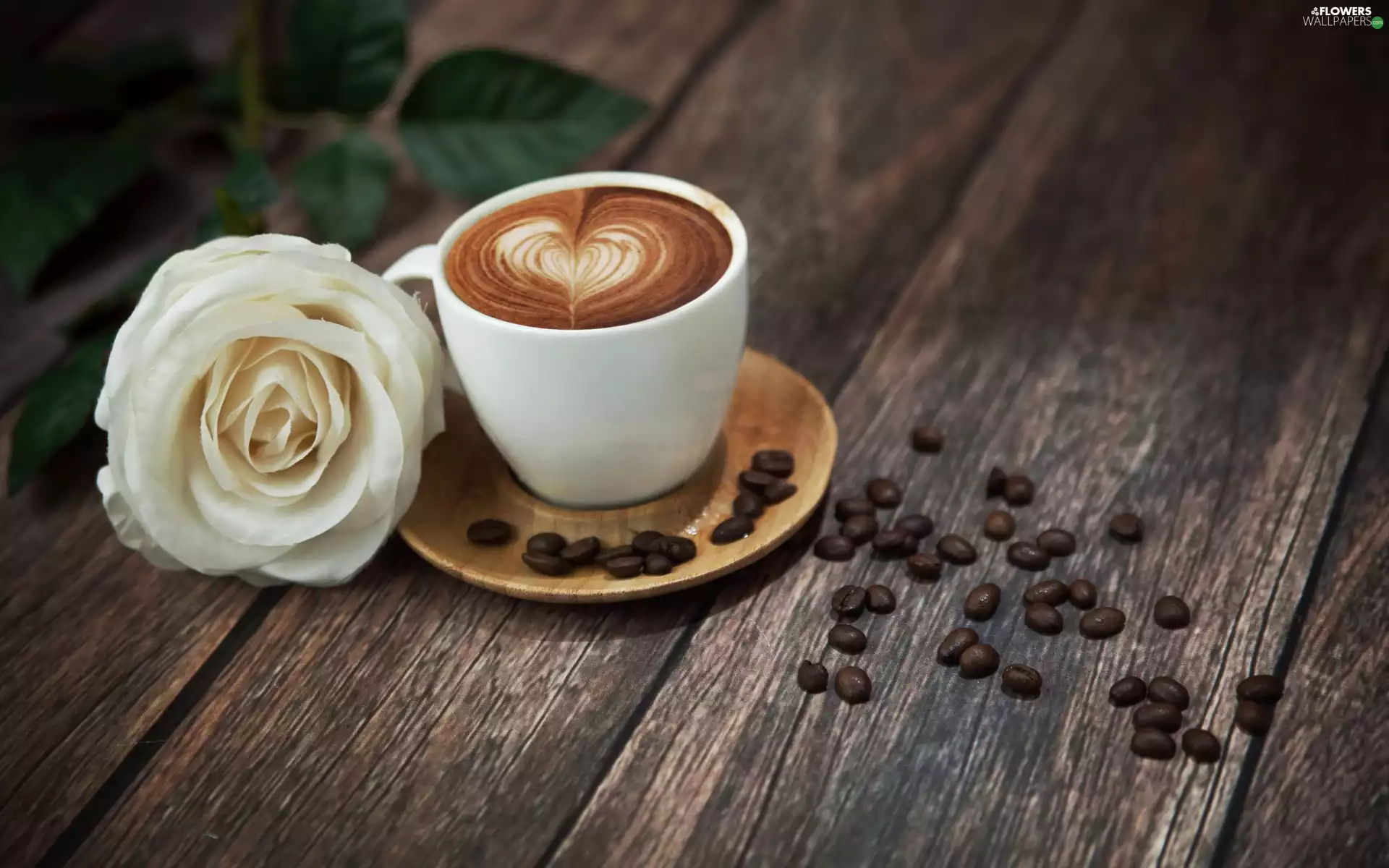 coffee, White, rose, cup