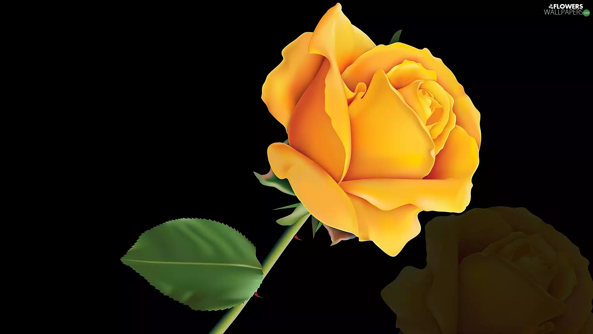 Yellow Honda, Colourfull Flowers, background, 2D, Black, rose