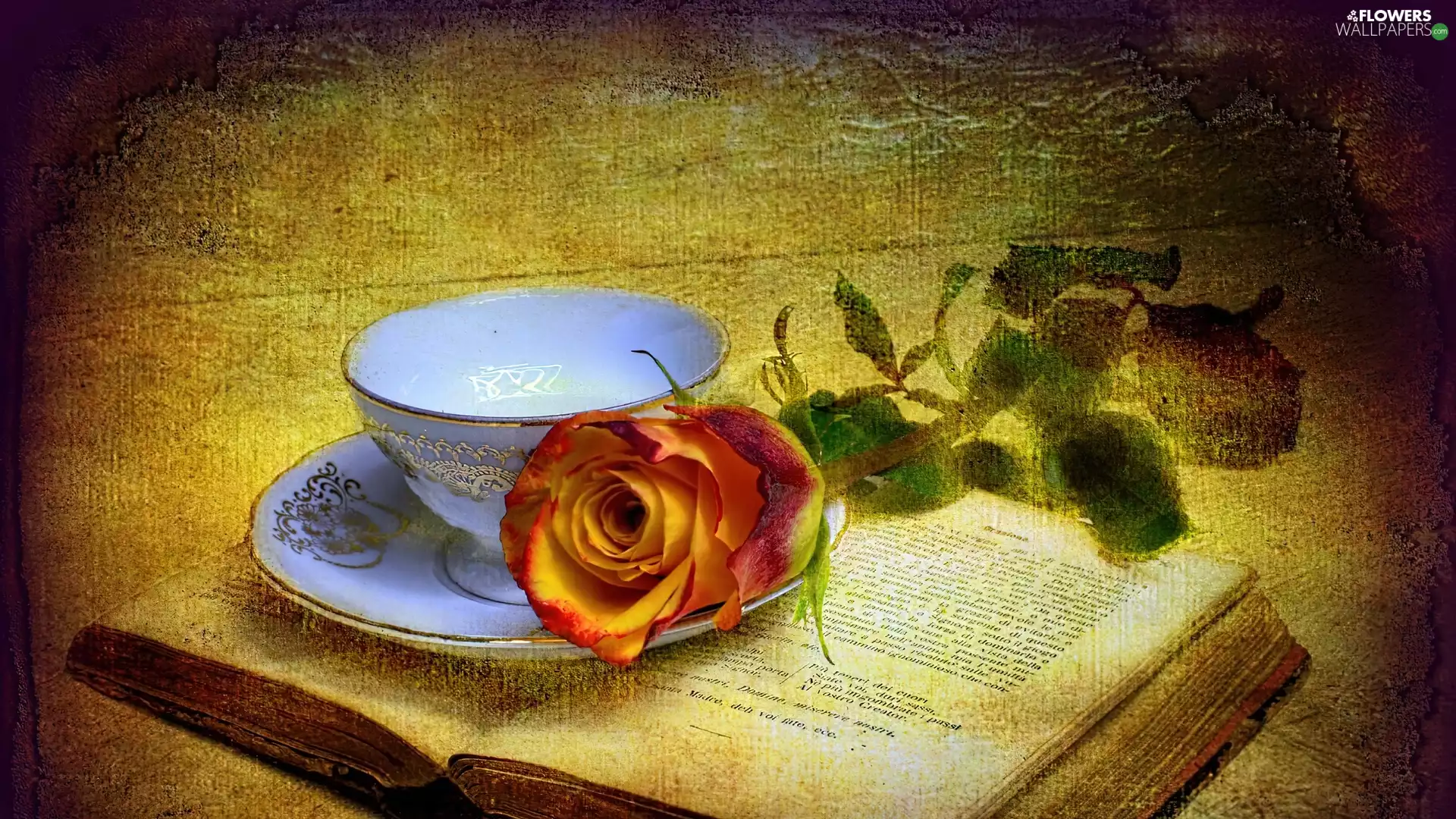 rose, Book, cup