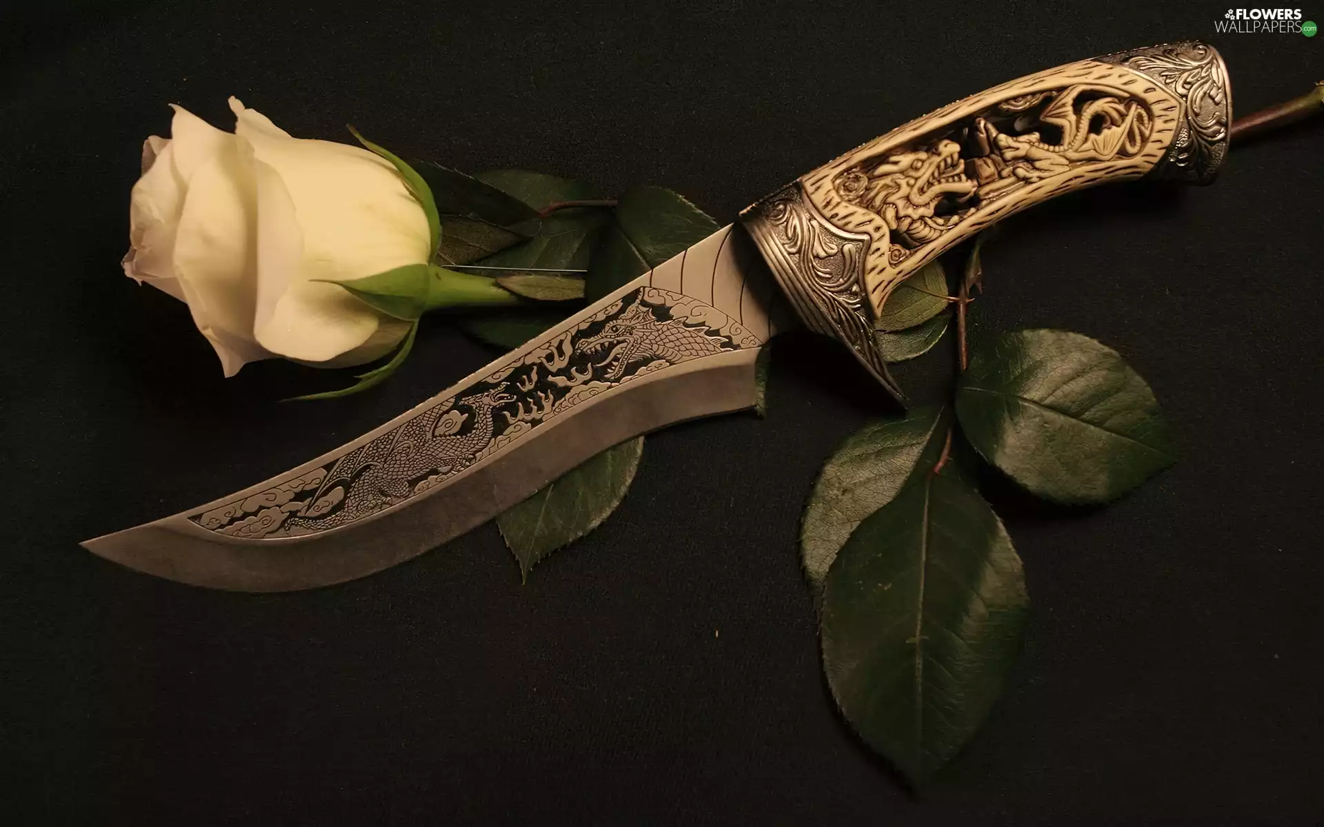 rose, dagger
