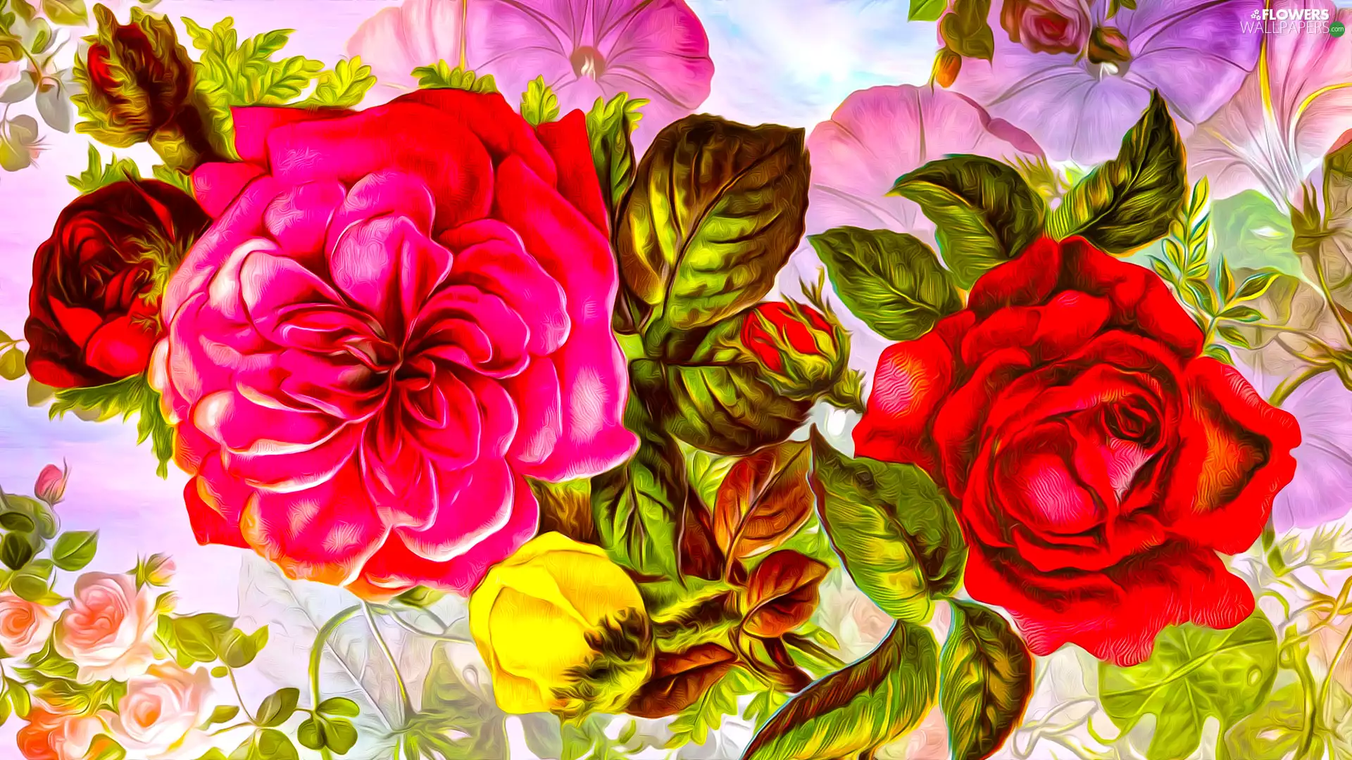 Flowers, ##, graphics, rose