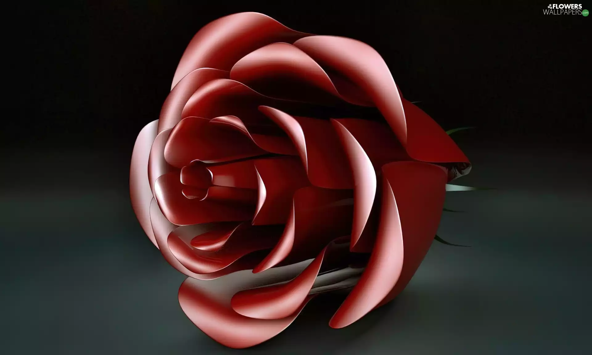 rose, graphics
