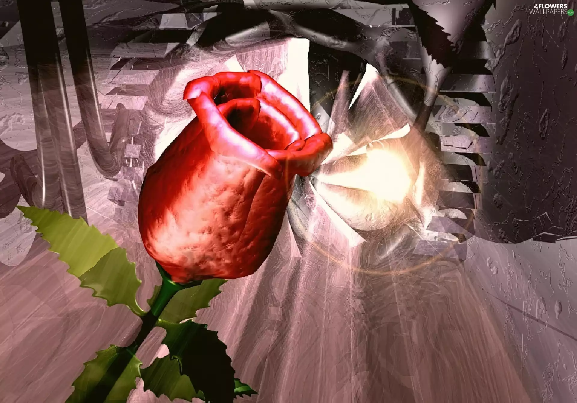 graphics, red hot, rose