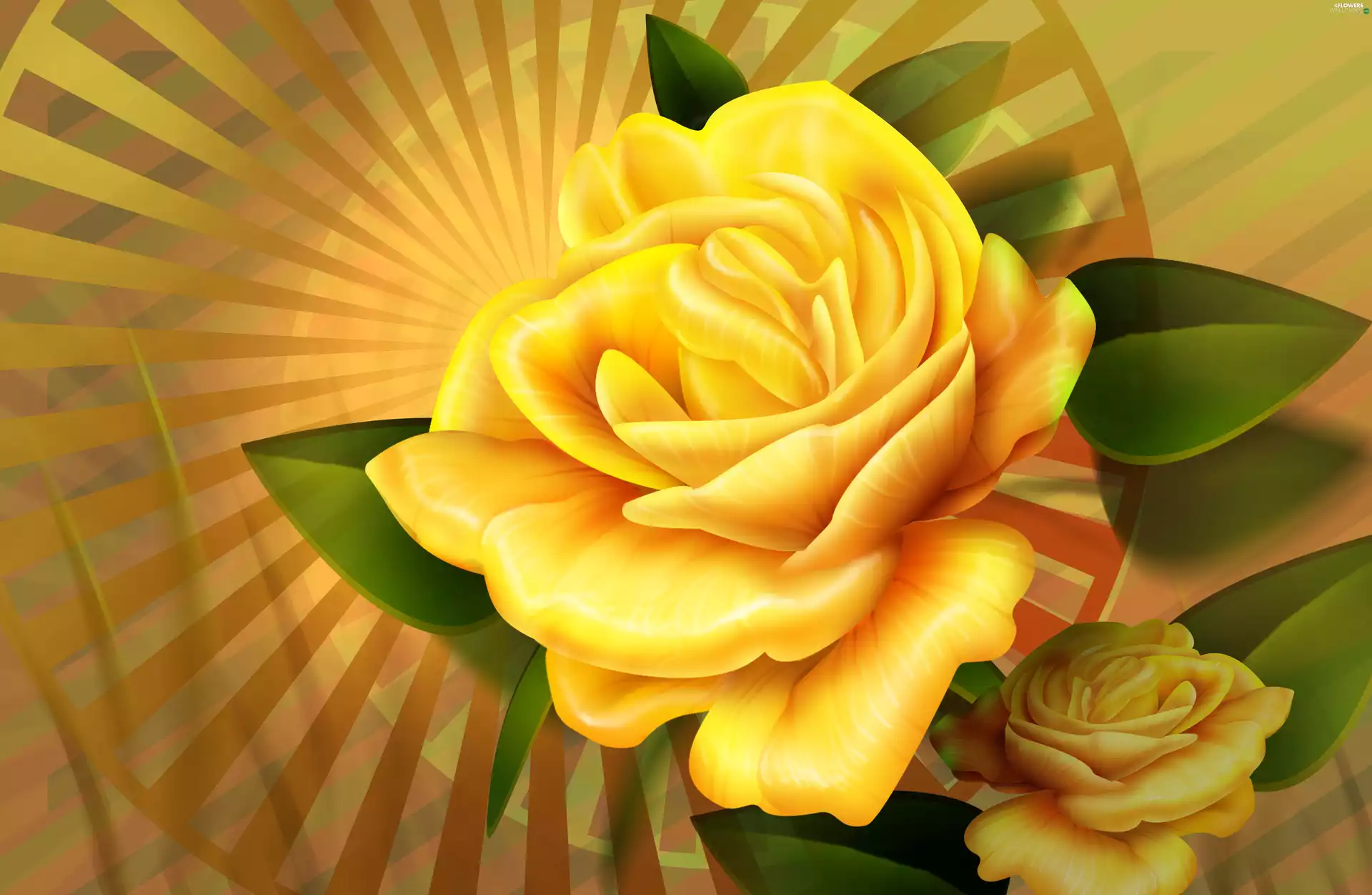 Leaf, Yellow Honda, rose