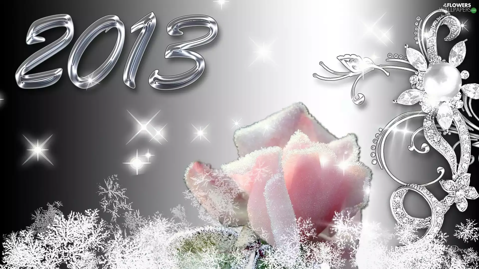 New Year 2013, rose