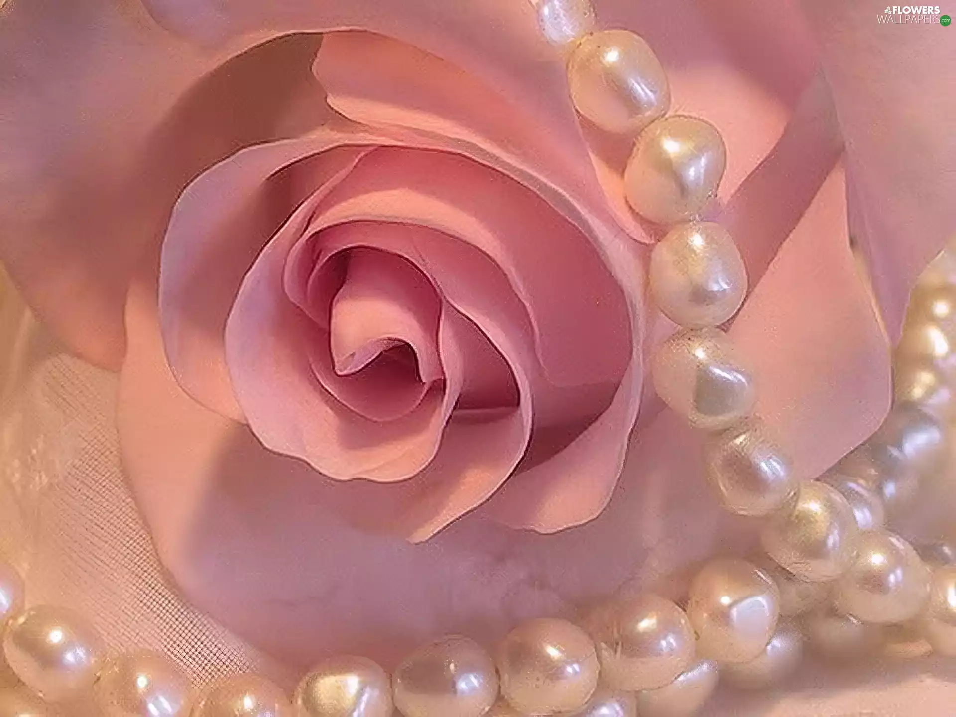 rose, Pearl