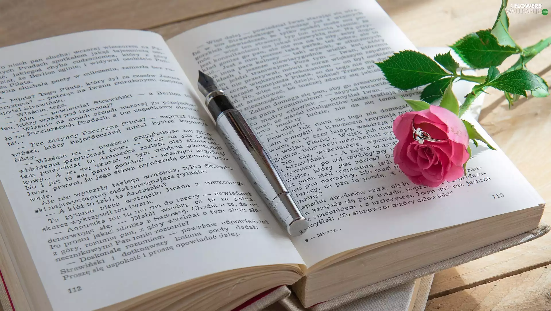 rose, Book, pen