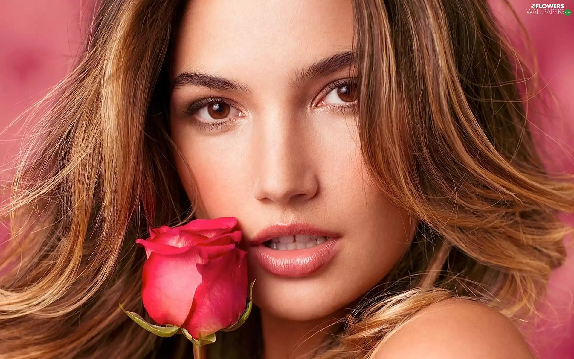 Women, Make-up, Lily Aldridge, Rose