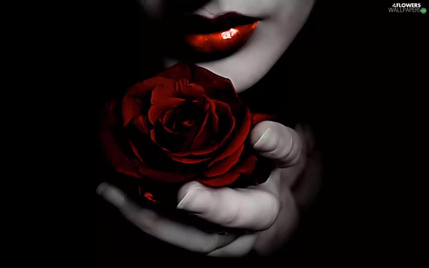 Women, red hot, rose, lips