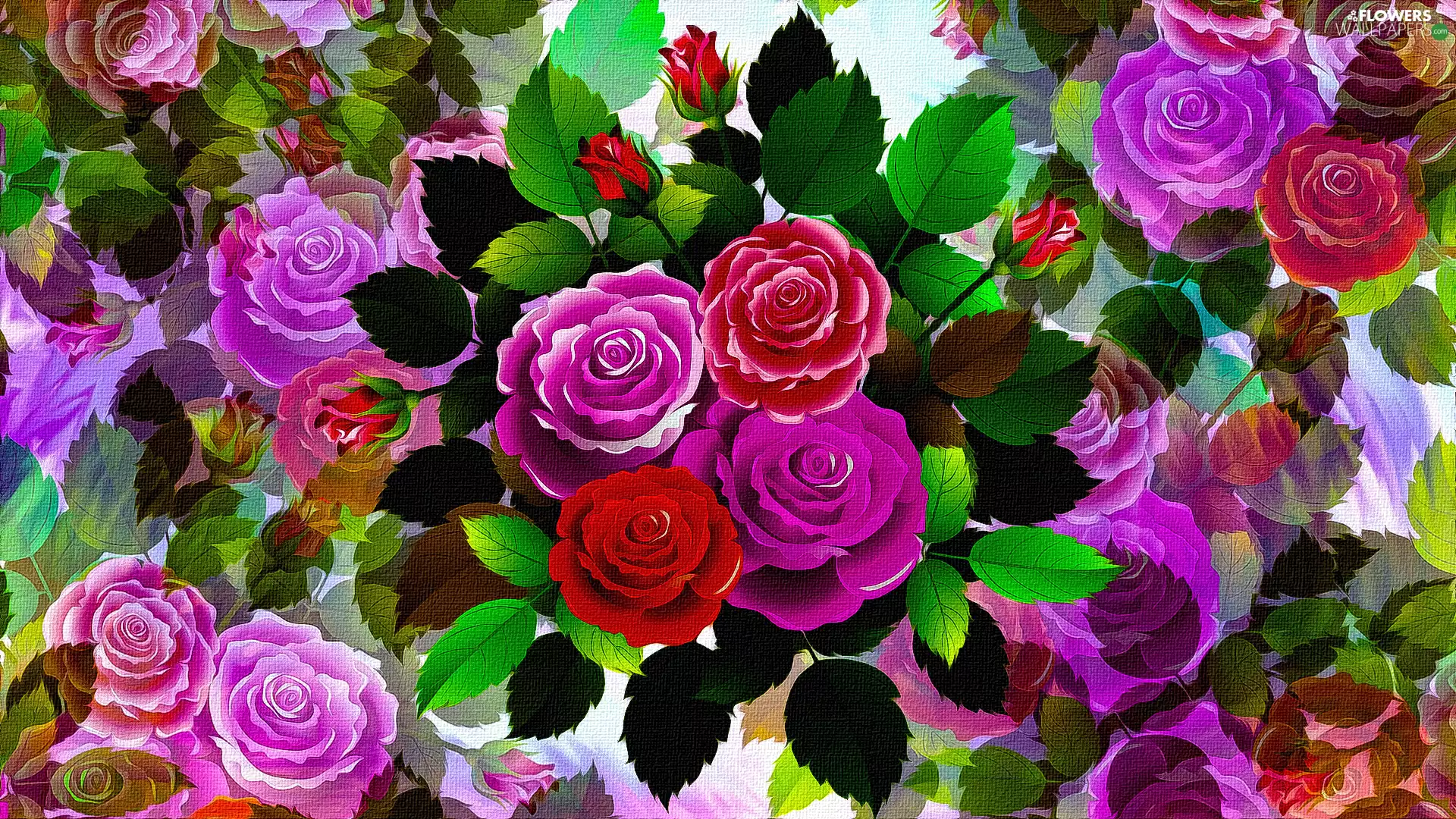 Flowers, roses, 2D Graphics, color