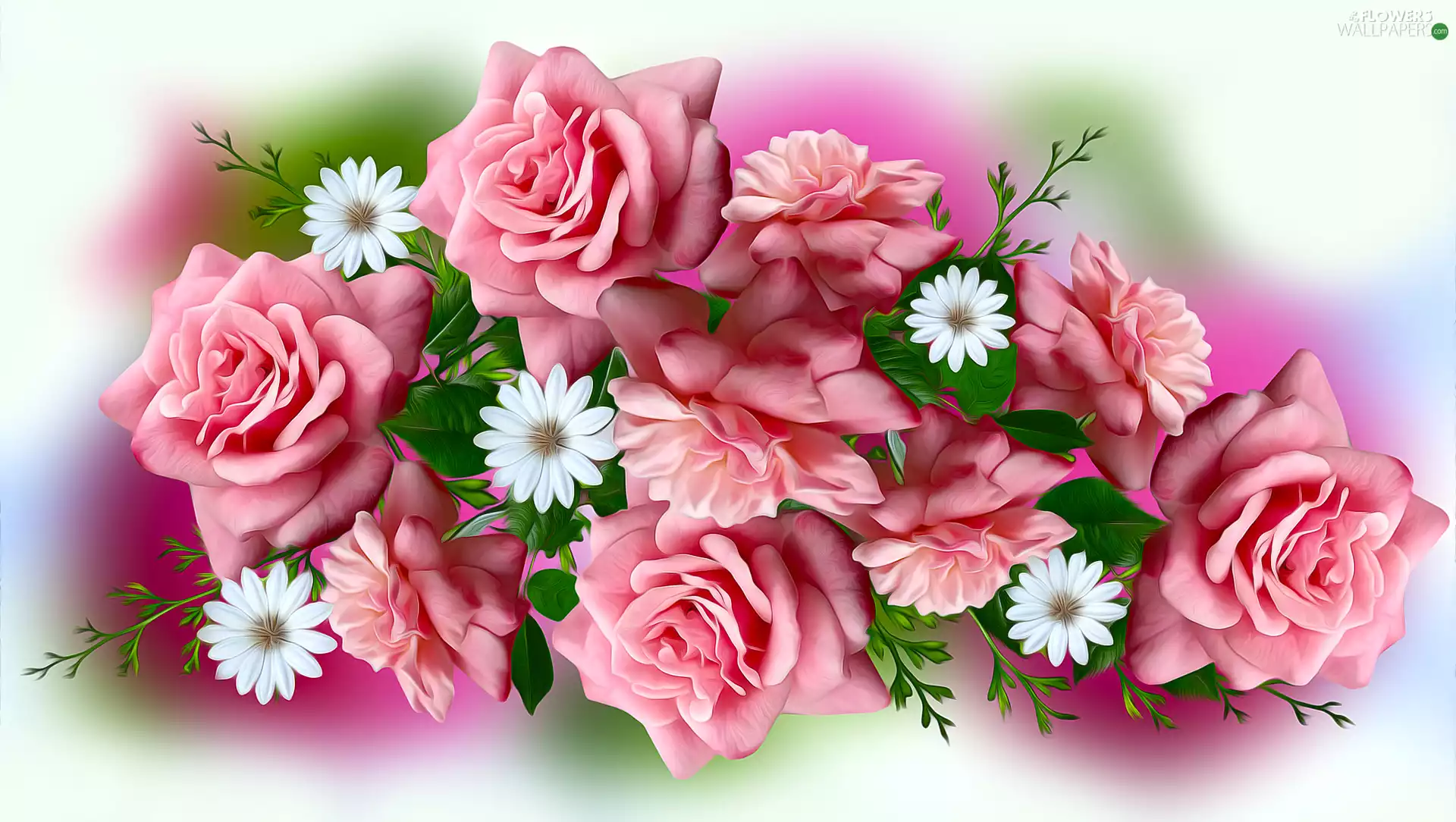 Flowers, roses, 2D Graphics, Pink