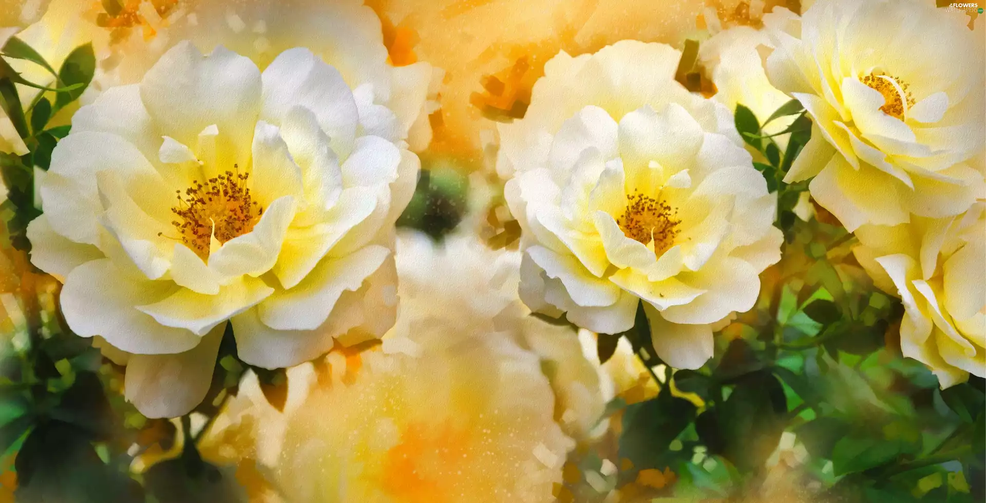 Art Image, Flowers, roses