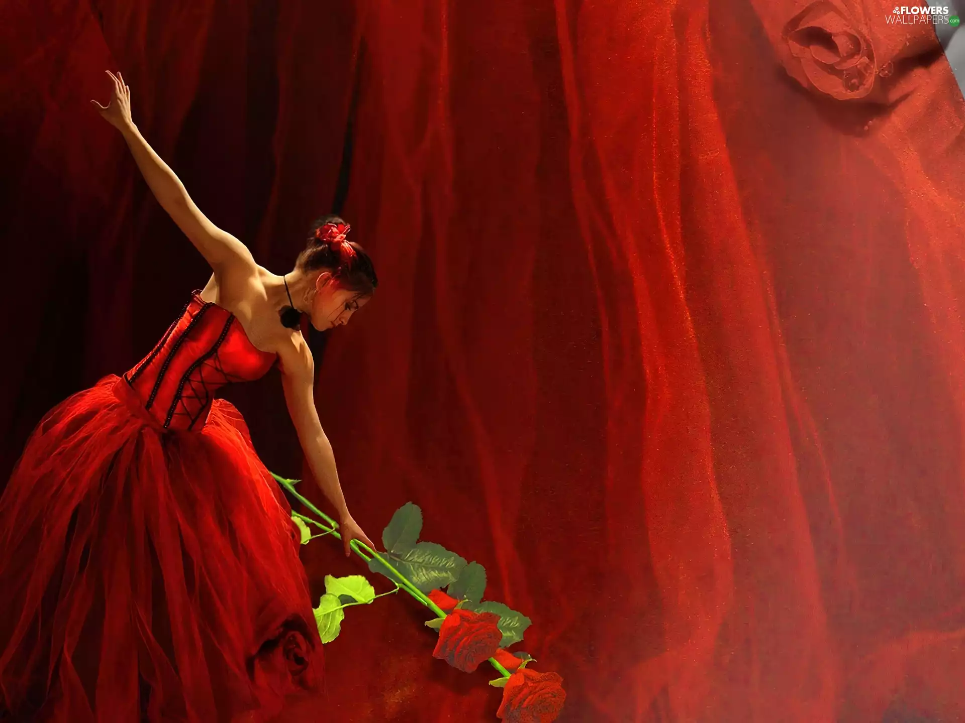 roses, dancer, ballet