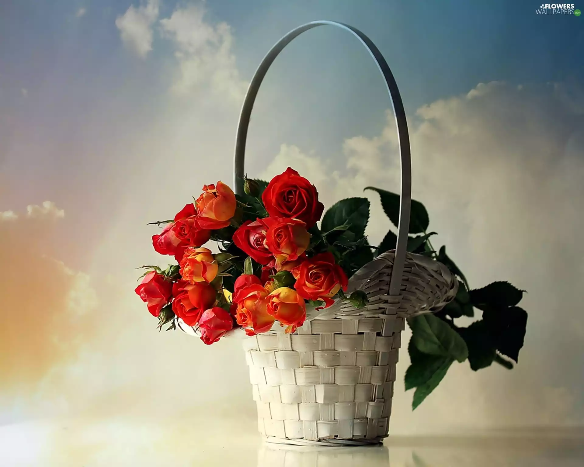 roses, basket