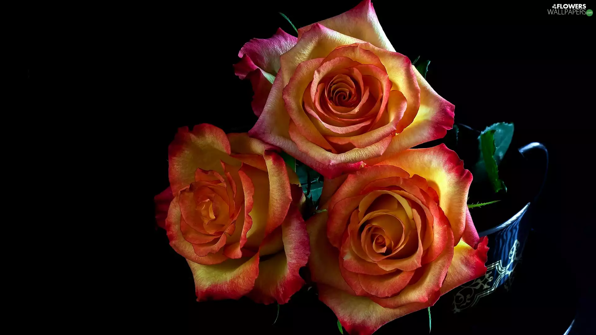 black background, Three, roses