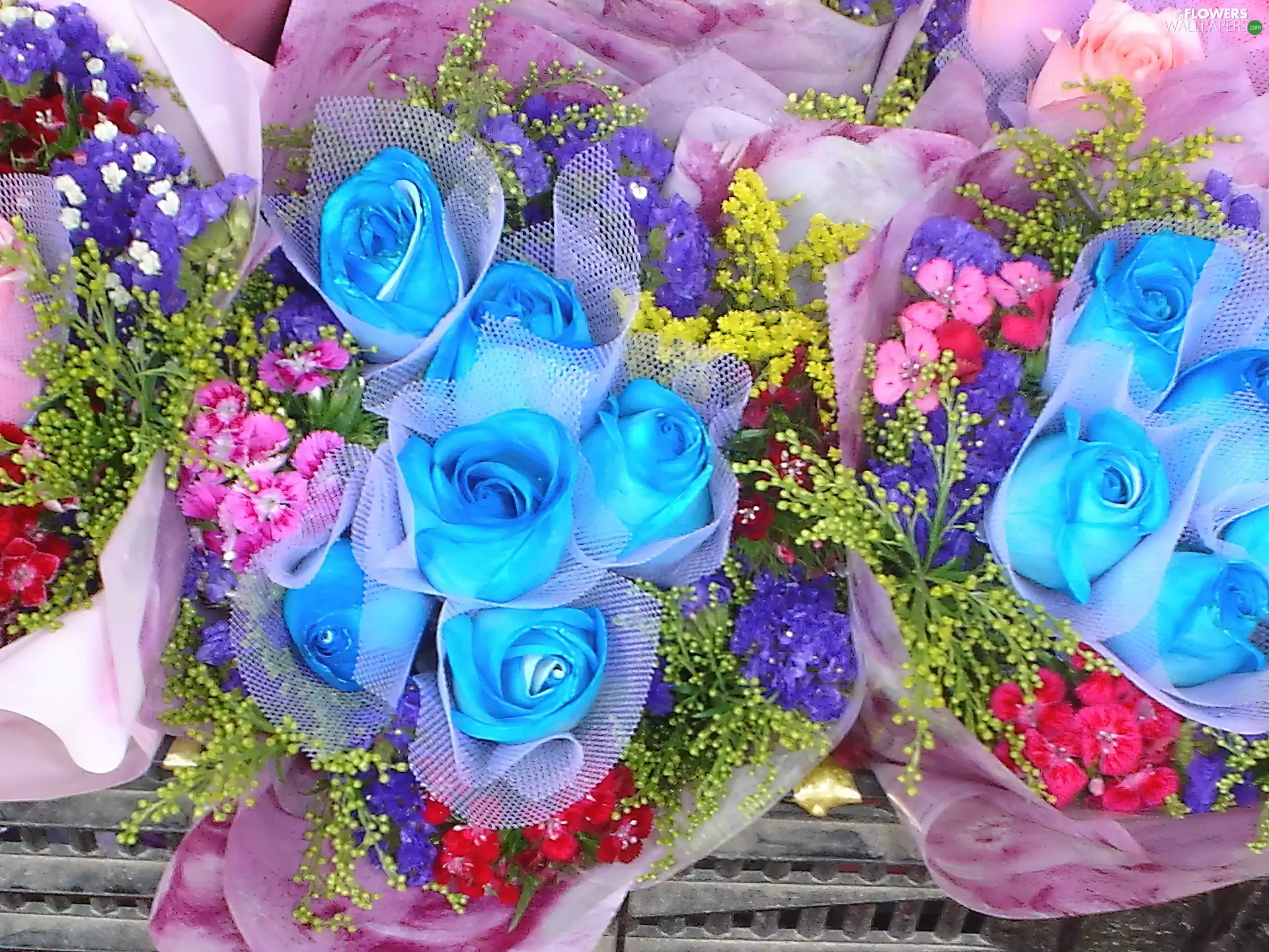 roses, Bouquets, Blue