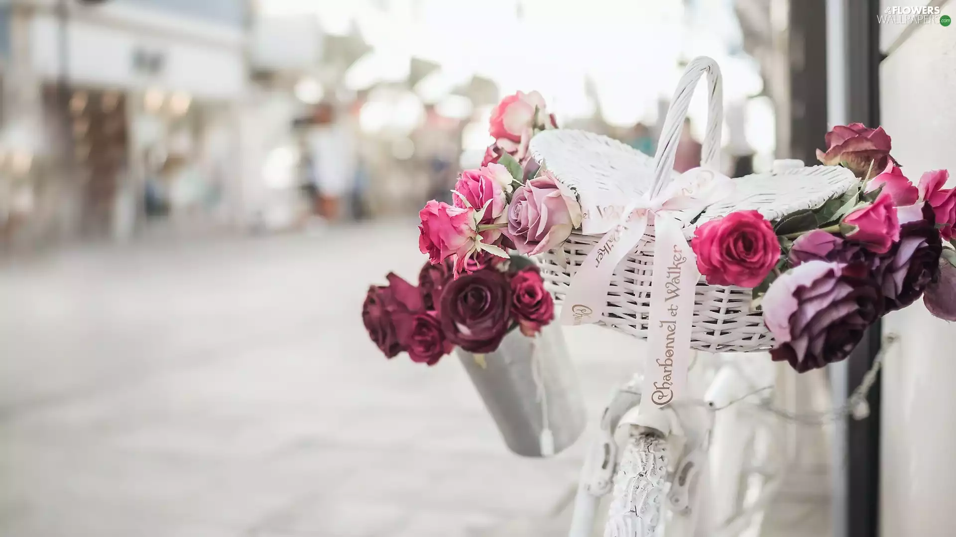 roses, blur, White, basket, Bike