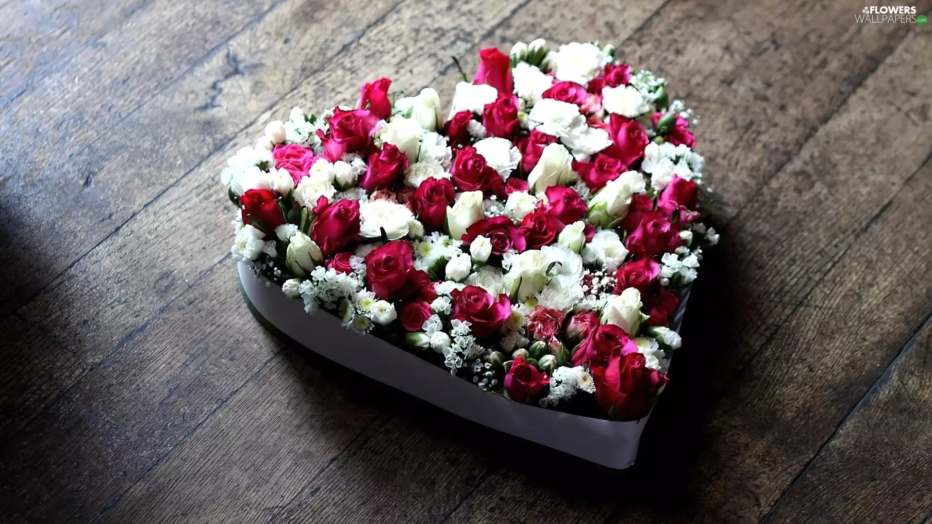 boarding, Heart teddybear, roses