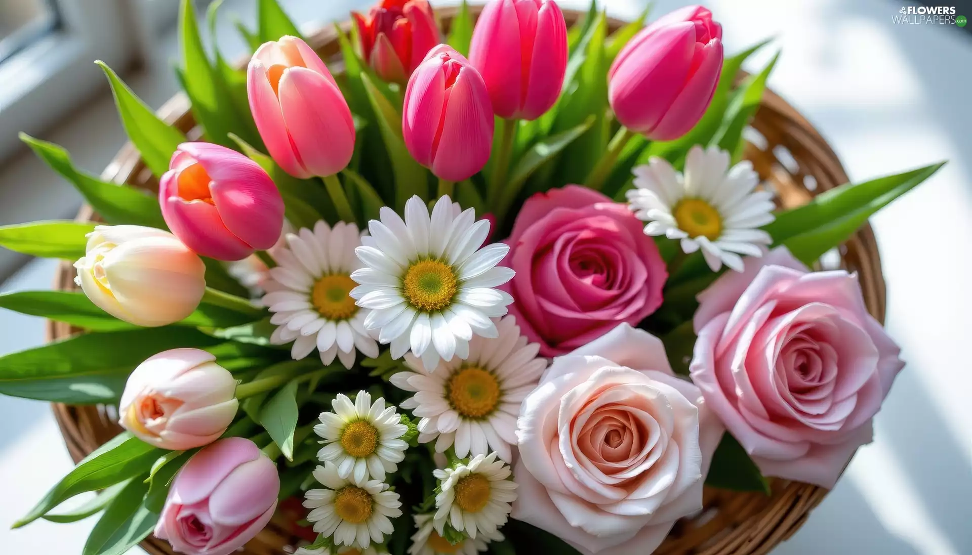 bouquet, Tulips, basket, roses