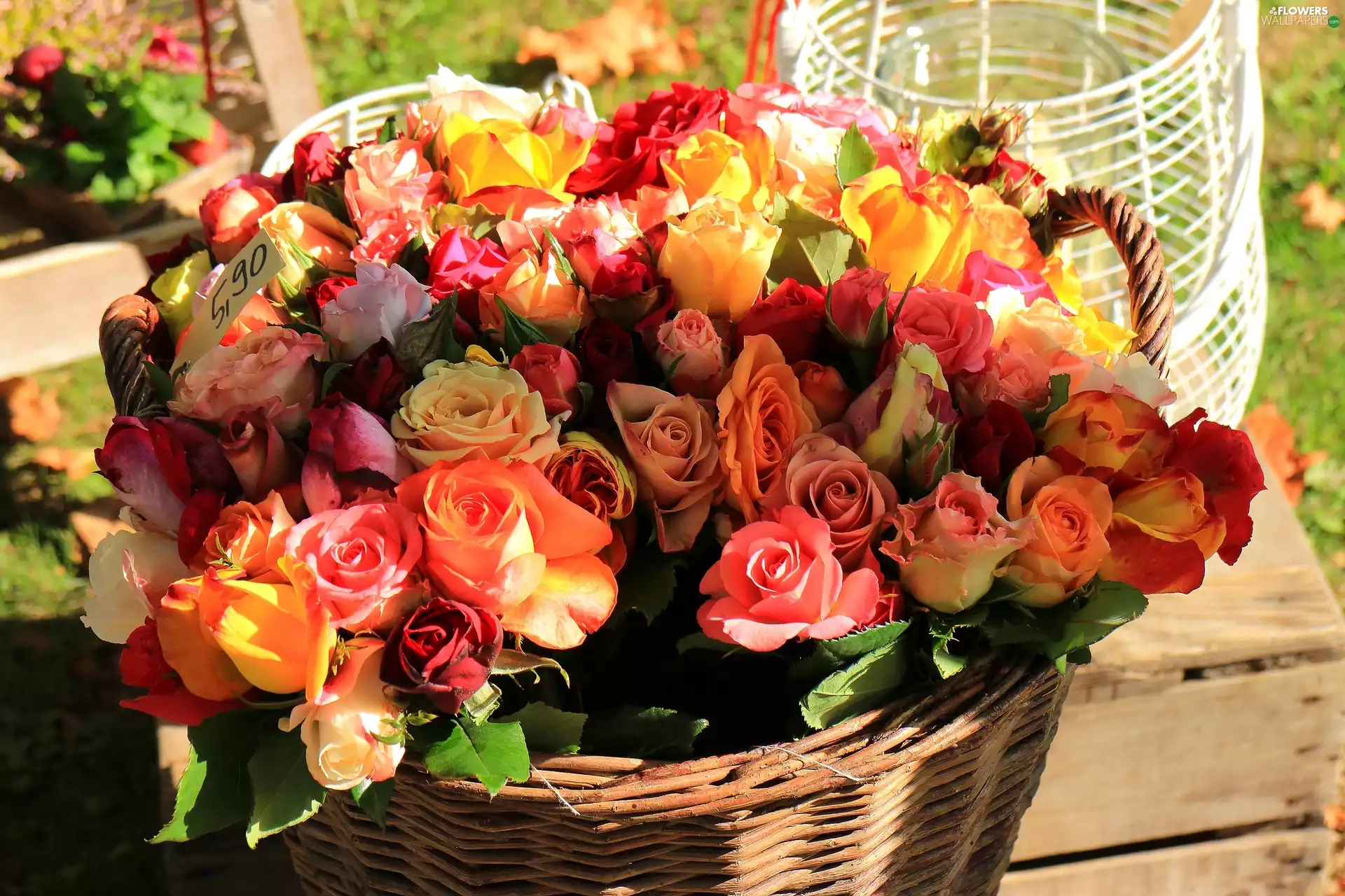 roses, basket, bouquet