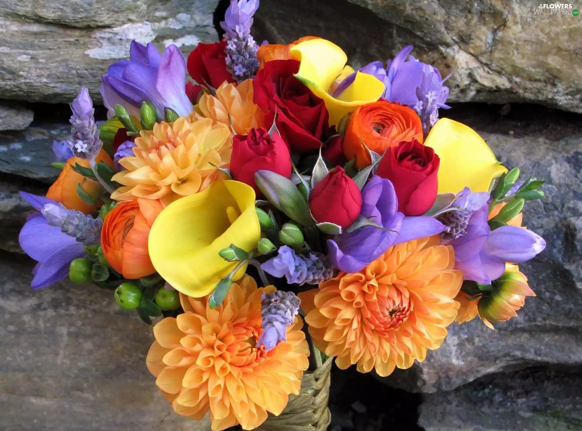 dahlias, Cocktail, Calla, roses, Freesias, bouquet