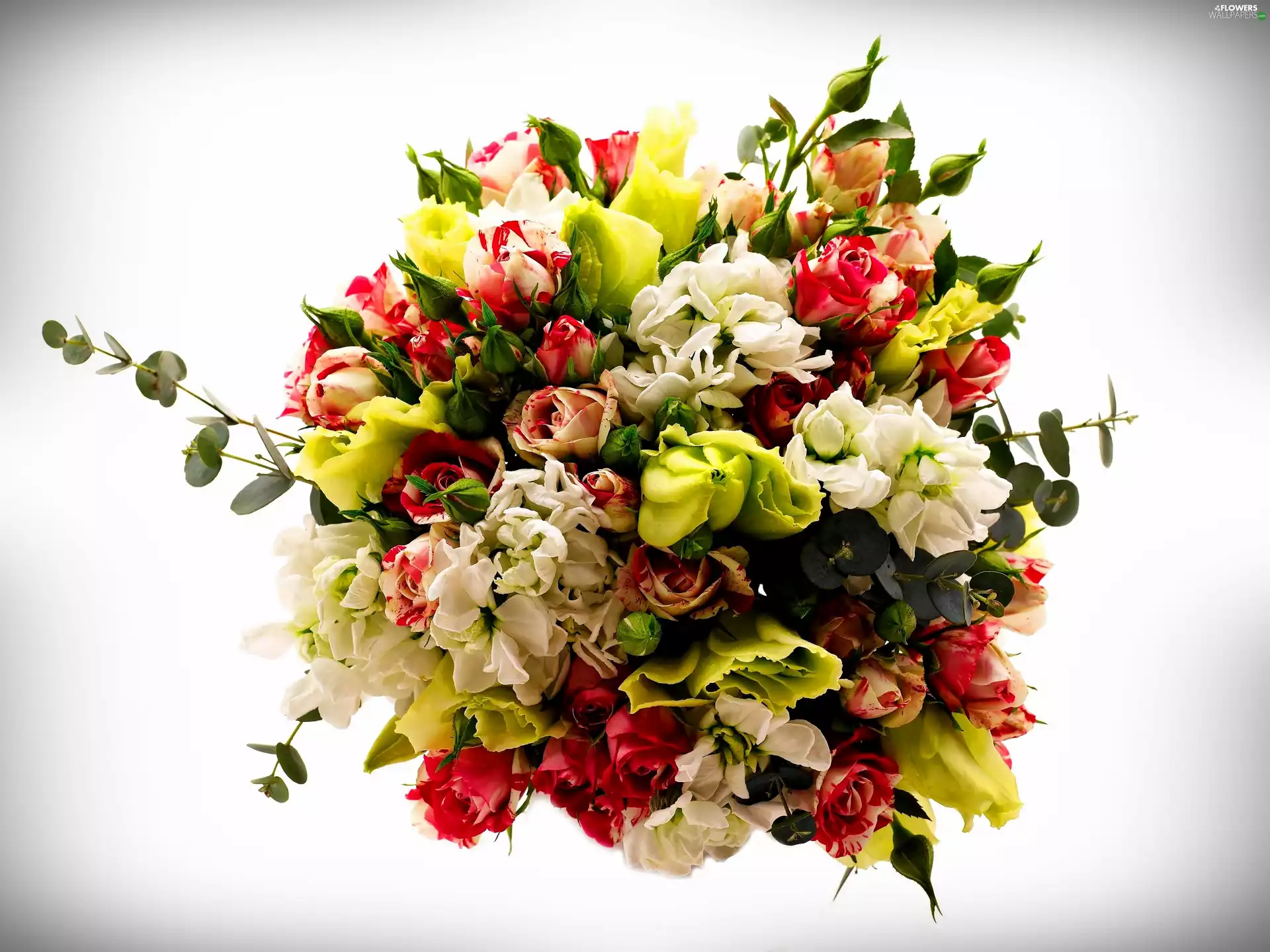 bouquet, Freesias, Gillyflower, roses