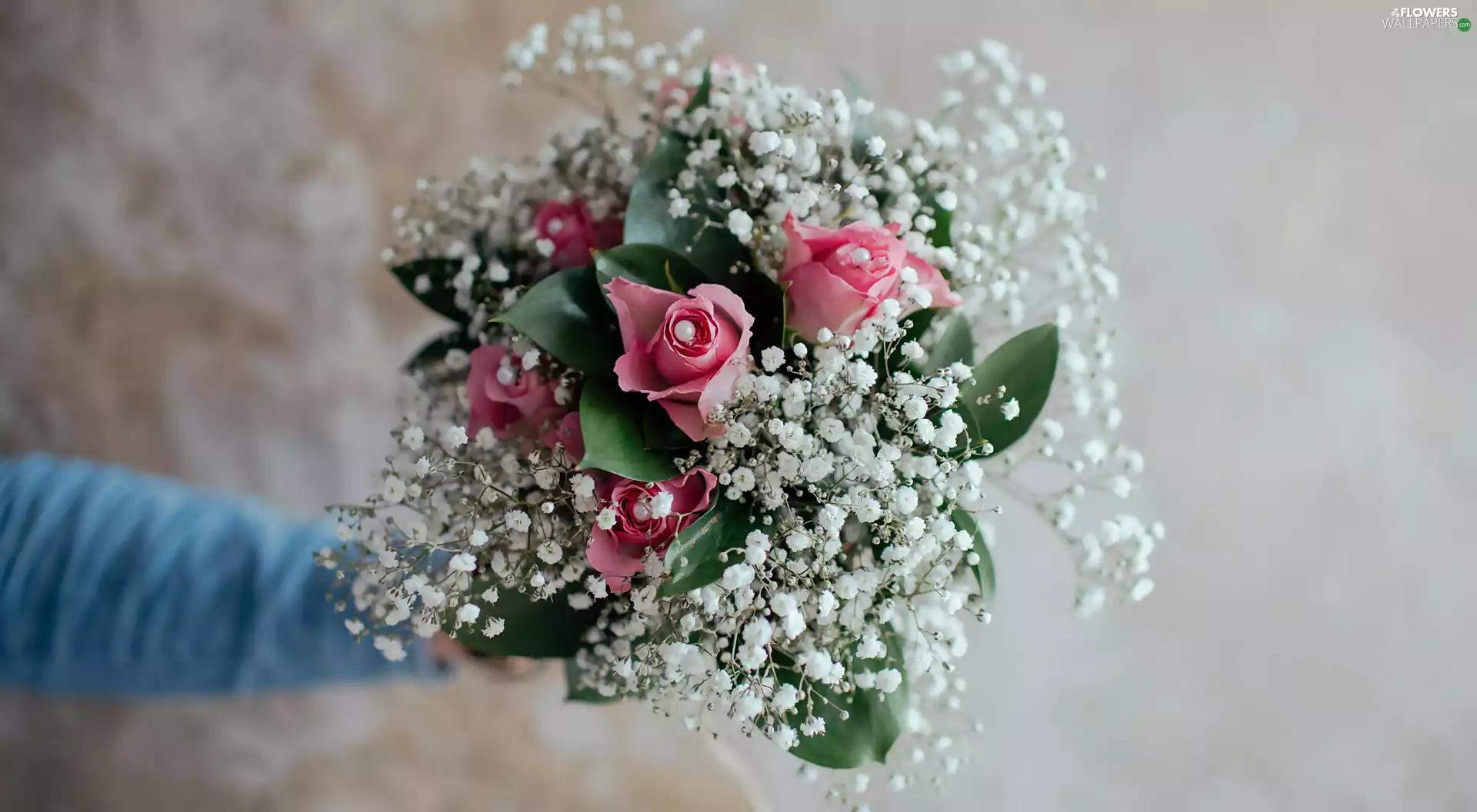 bouquet, Gypsophila, Gipsówka, roses