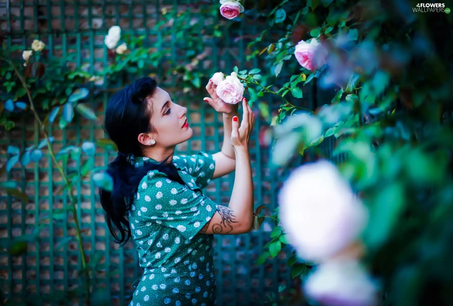 roses, Women, brunette