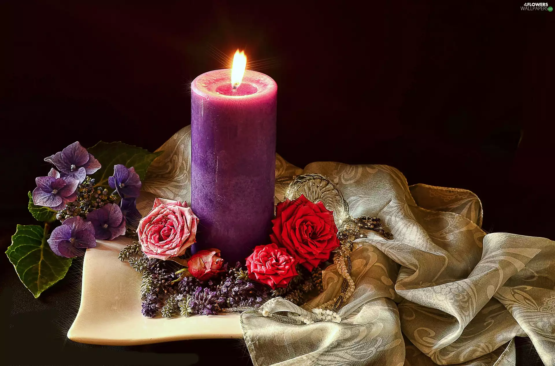 roses, composition, candle
