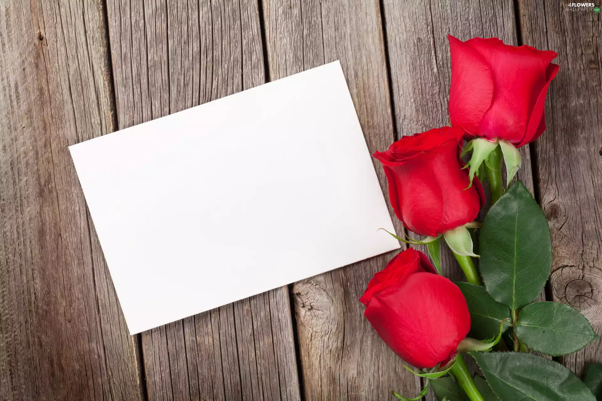 roses, card