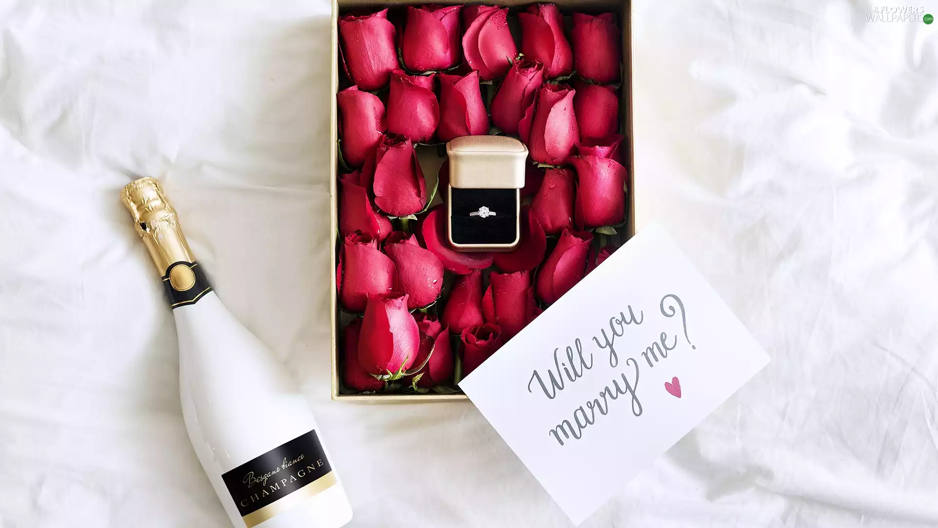 Ring, Flowers, Champagne, roses, box, card, proposal