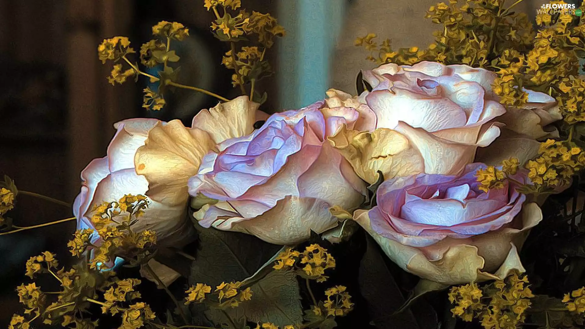 roses, Flowers, color