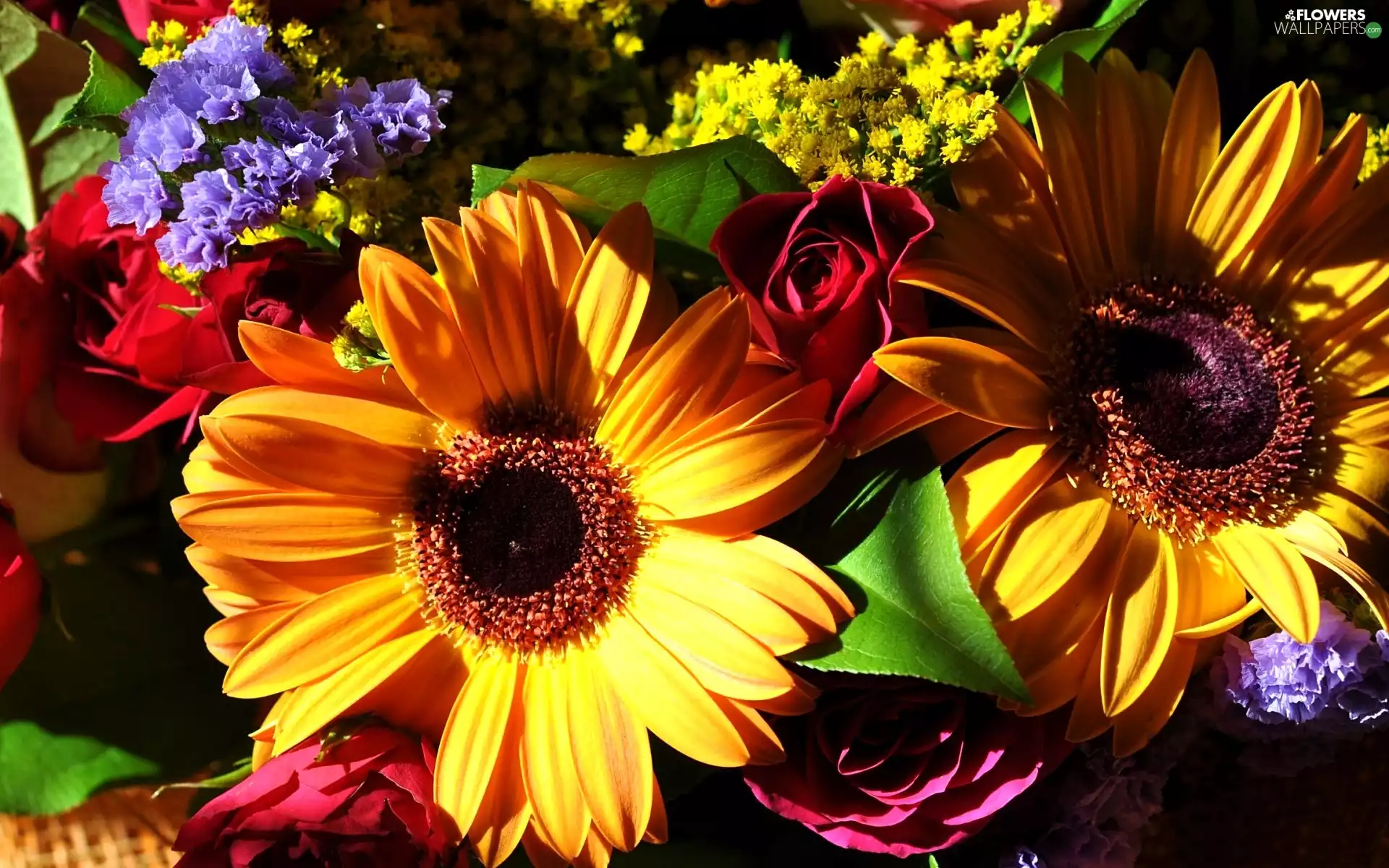gerberas, roses, Colorful, flowers, bouquet