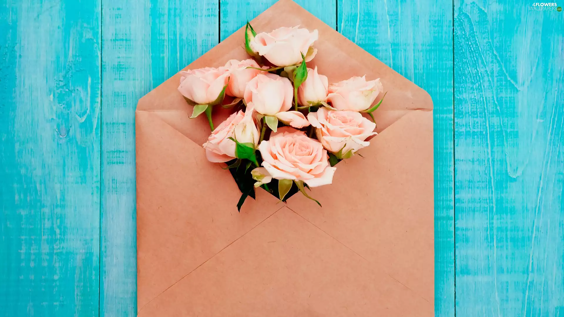 envelope, Blue, boarding, roses