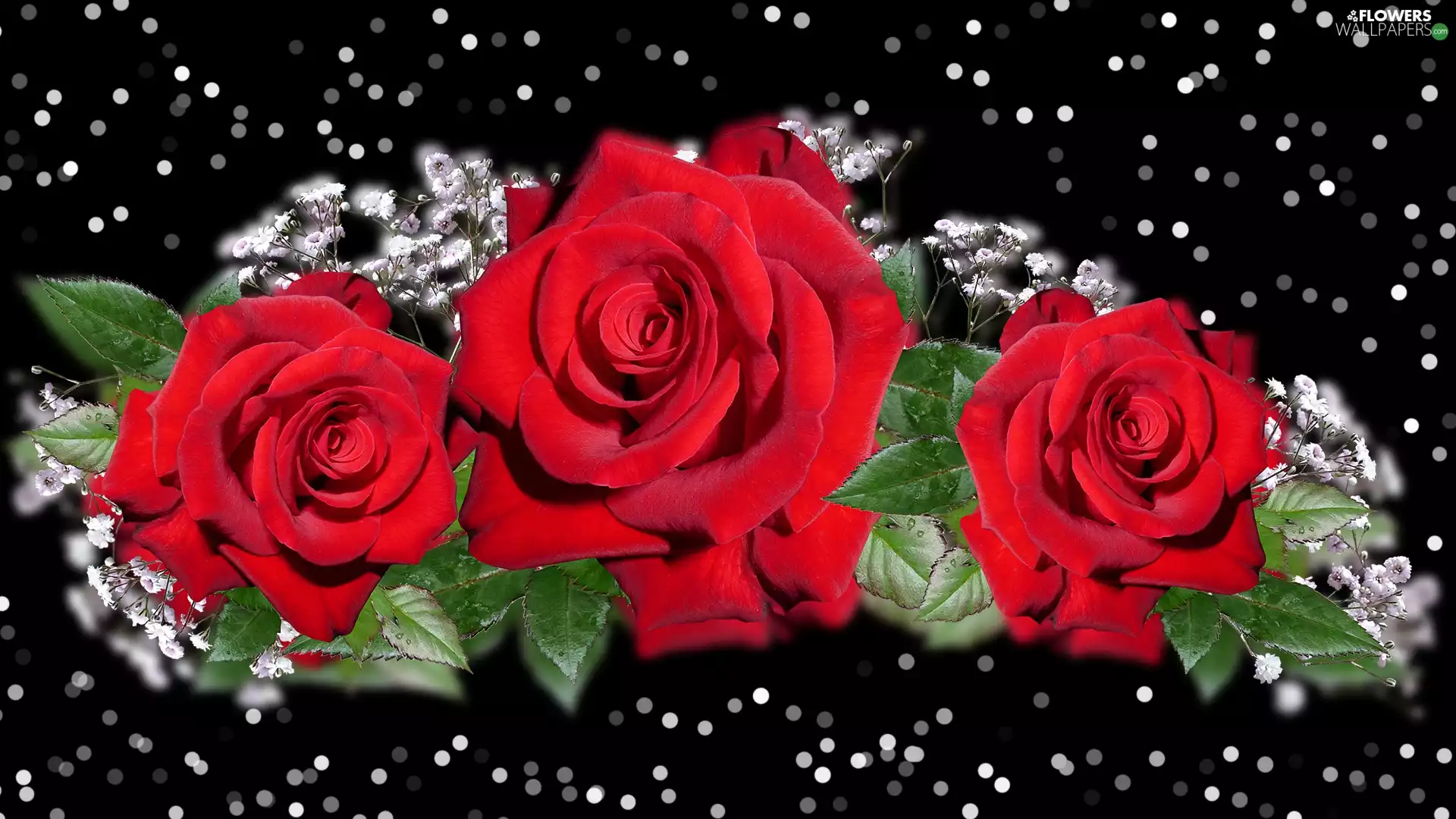 Flowers, Red, 2D, roses