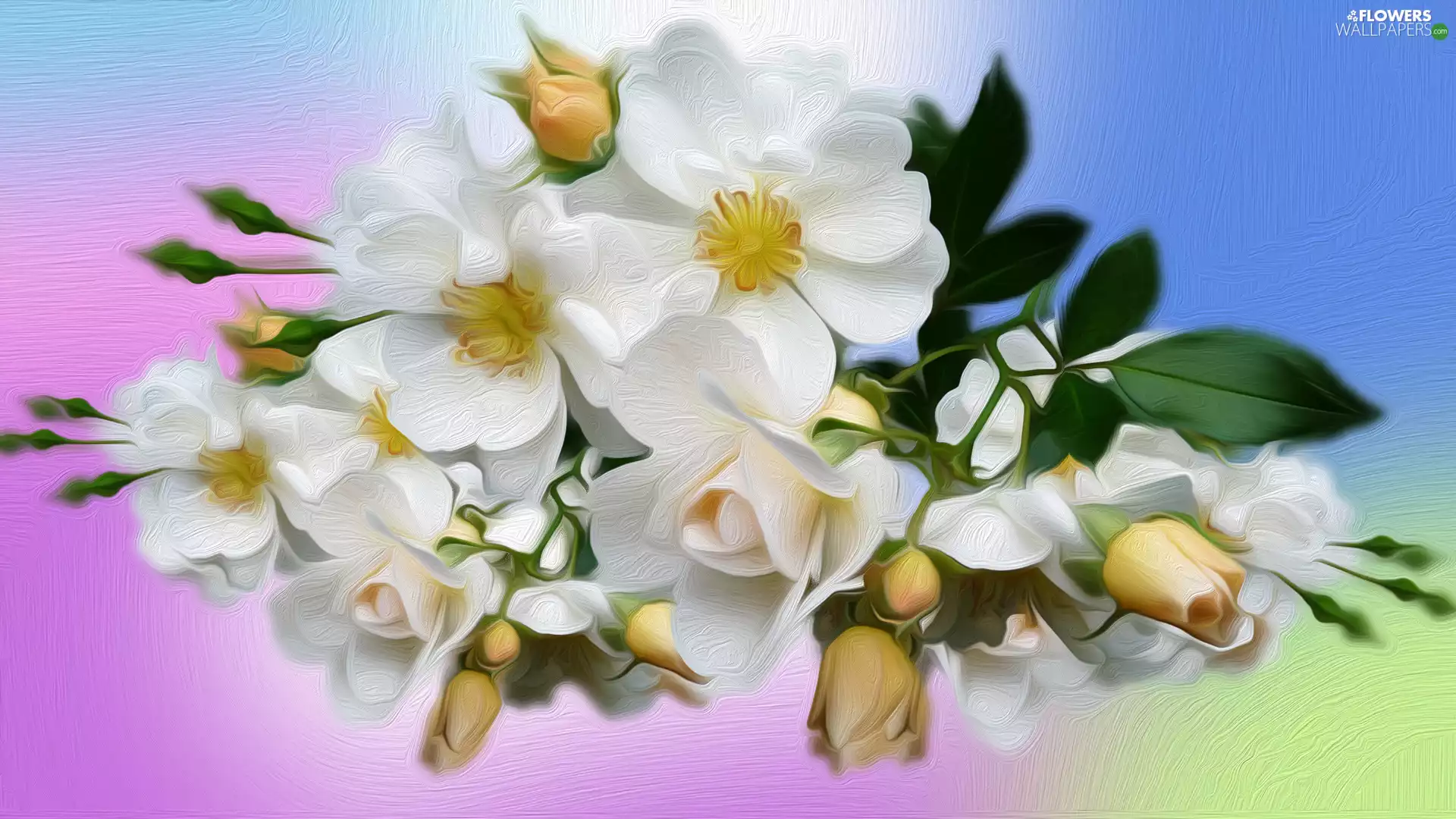 Flowers, color, background, roses