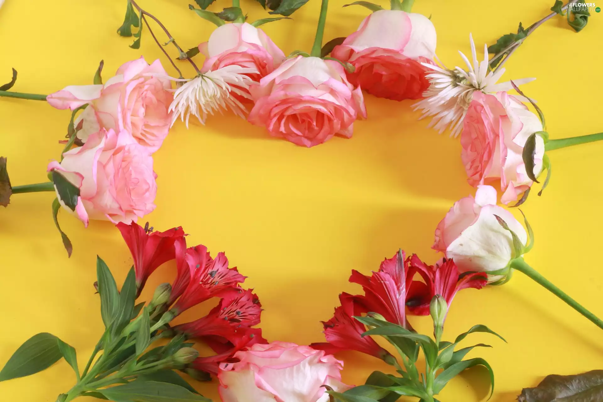 Heart, Yellow Background, roses, Alstroemeria, Flowers