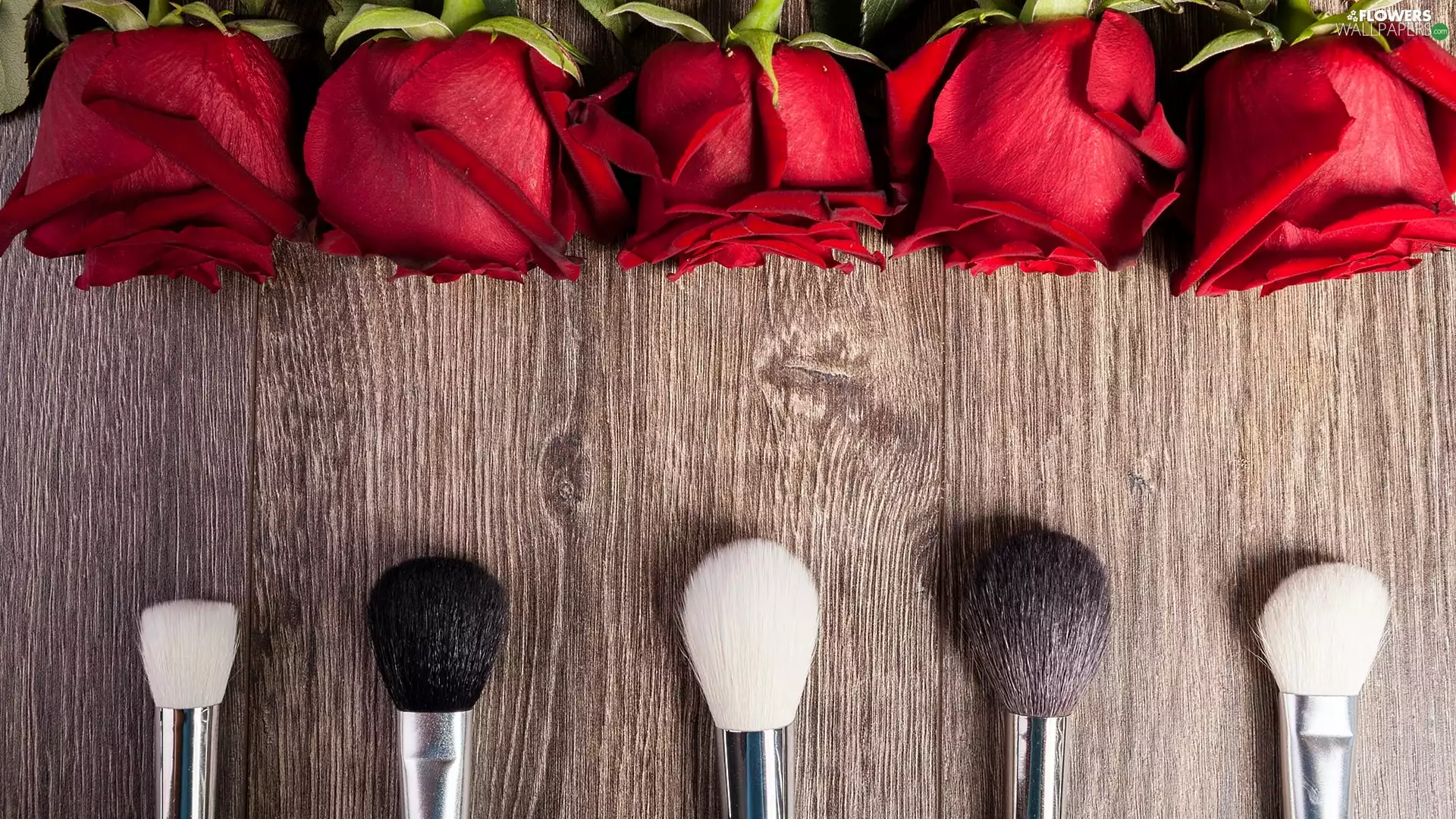 Flowers, Brushes, boarding, roses